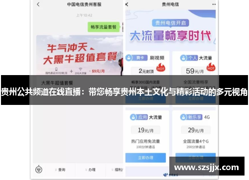 贵州公共频道在线直播：带您畅享贵州本土文化与精彩活动的多元视角