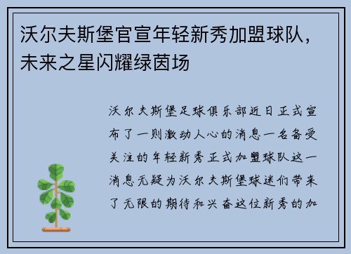沃尔夫斯堡官宣年轻新秀加盟球队，未来之星闪耀绿茵场